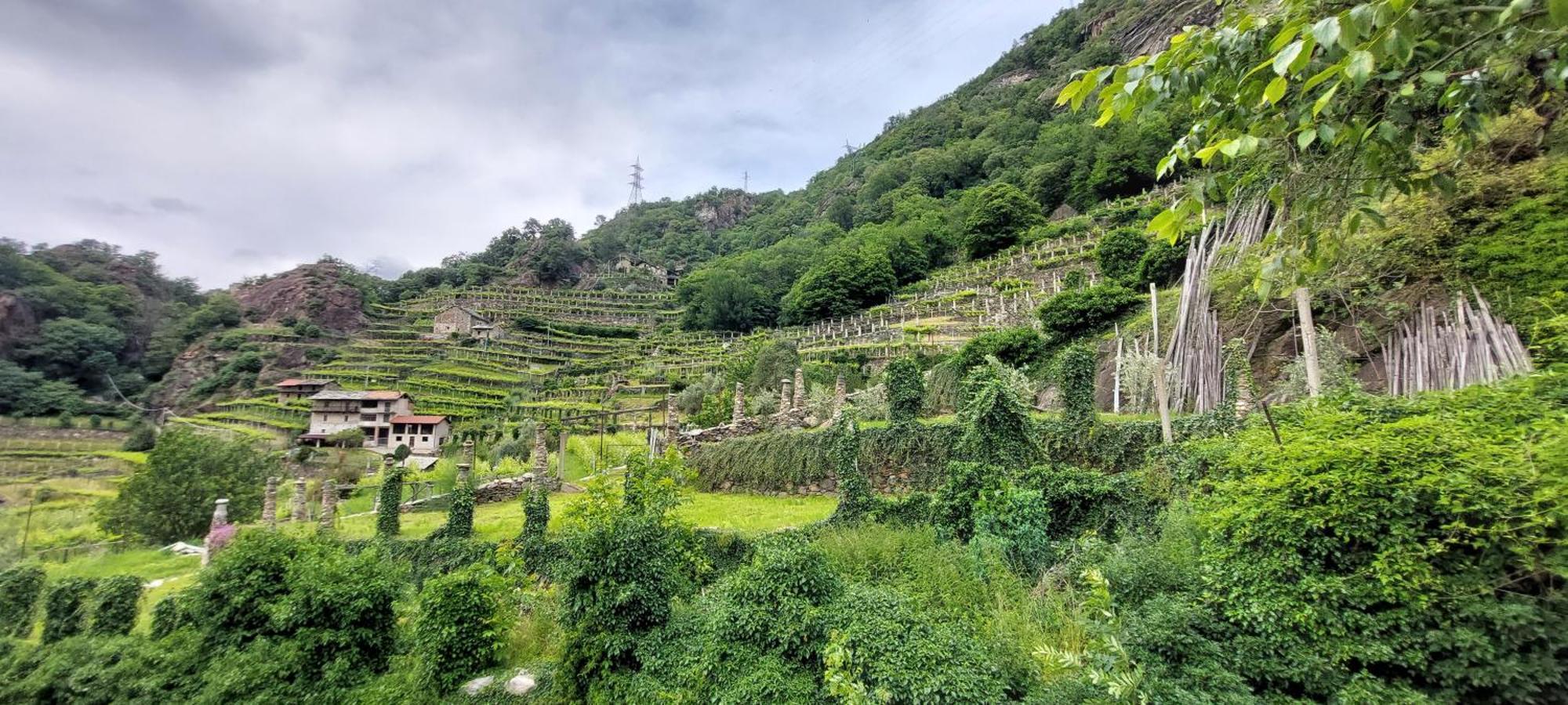 Settimo VittoneRelais Del Brigante住宿加早餐旅馆 外观 照片