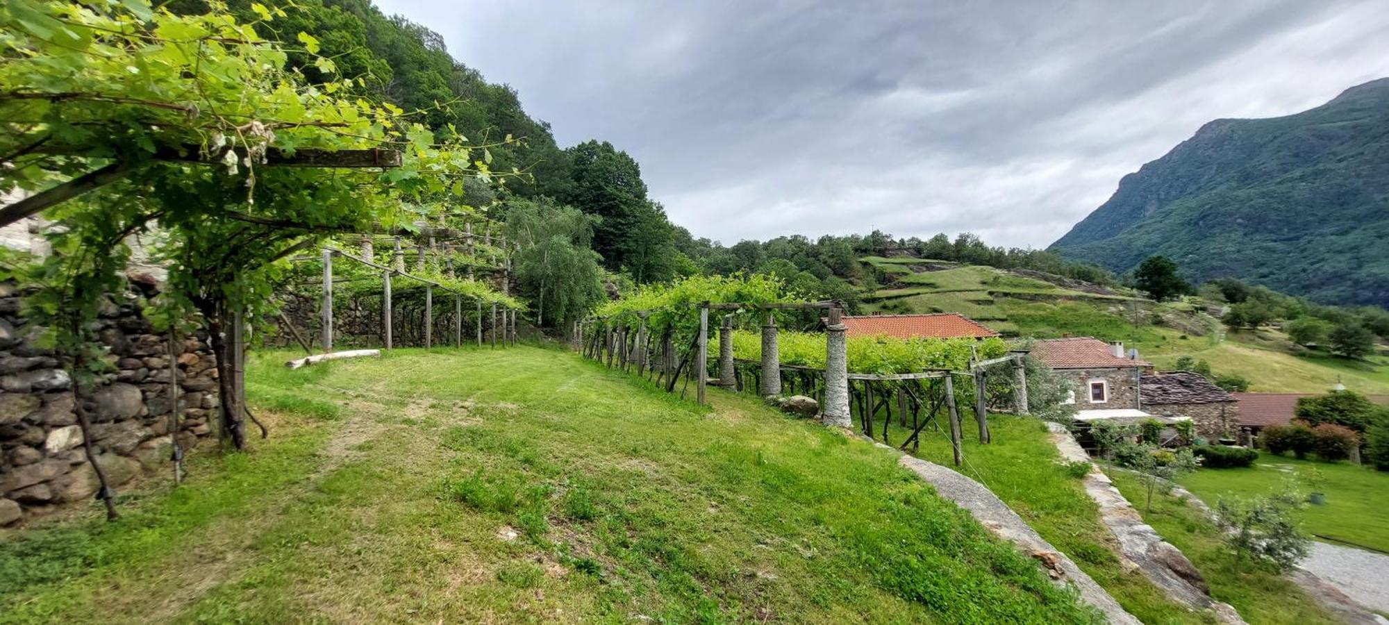 Settimo VittoneRelais Del Brigante住宿加早餐旅馆 外观 照片