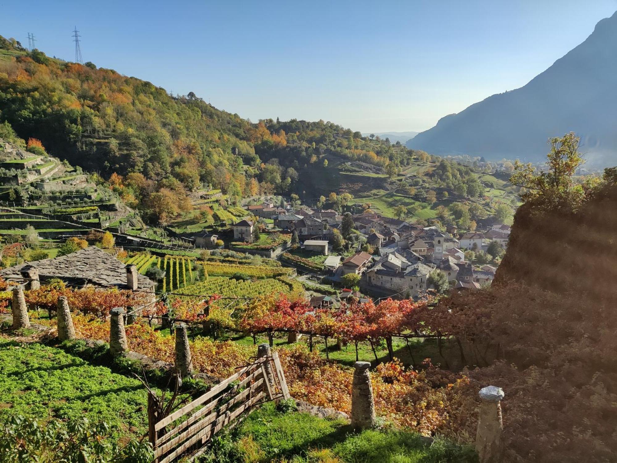 Settimo VittoneRelais Del Brigante住宿加早餐旅馆 外观 照片